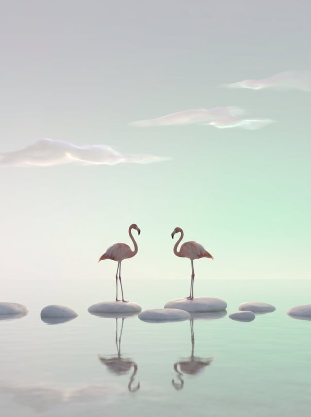 两只悠闲的火烈鸟一动不动地矗立在一片平滑的浅色鹅卵石上，周围是一片清澈、如丝绸般柔和的浅水域。该作品以广阔的极简主义渐变天空为主，从柔和的灰白色过渡到淡雅的晨曦浅绿色，点缀着几缕轻盈、半透明的薄雾，散