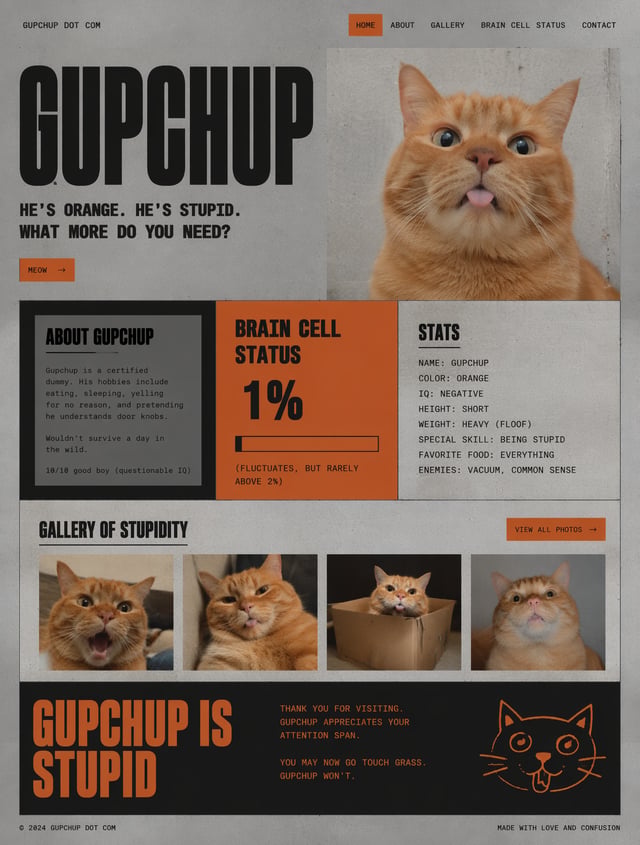 a Goofy neo brutalist website for my cat gupchup He's orange and stupid