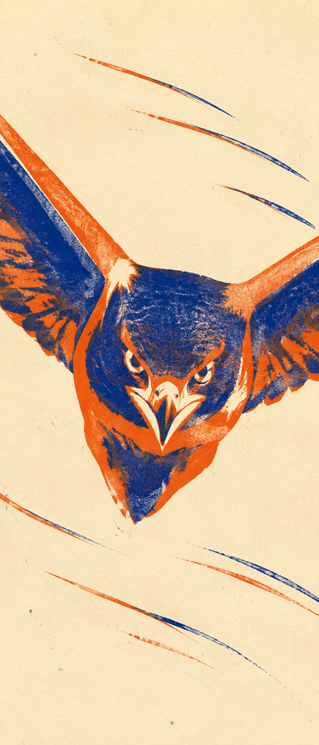 @Create image A vertical 9:20 two-ink risograph-style print of a hawk flying directly toward the vie