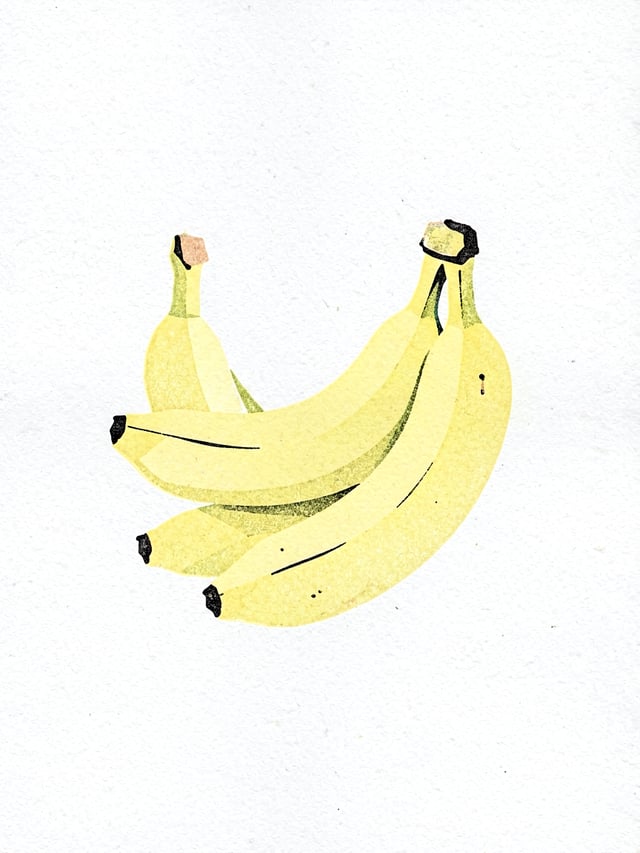 Minimalist flat illustration, Riso risograph printing technique, slight color registration misalignm