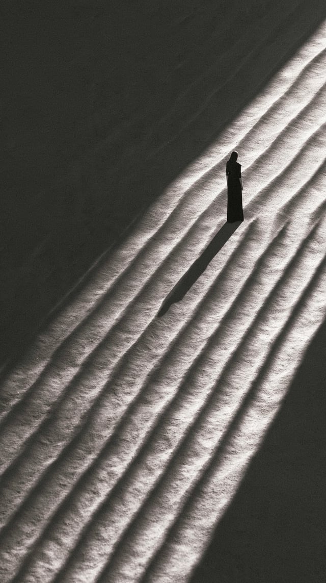 artistic surreal minimalist image, grand master shot, a woman showed in a particular way