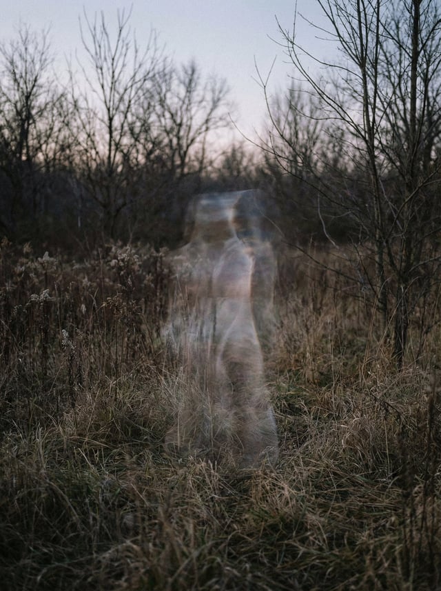 a photo of an impossible imperceptible anti-memetic entity, no labels, outside