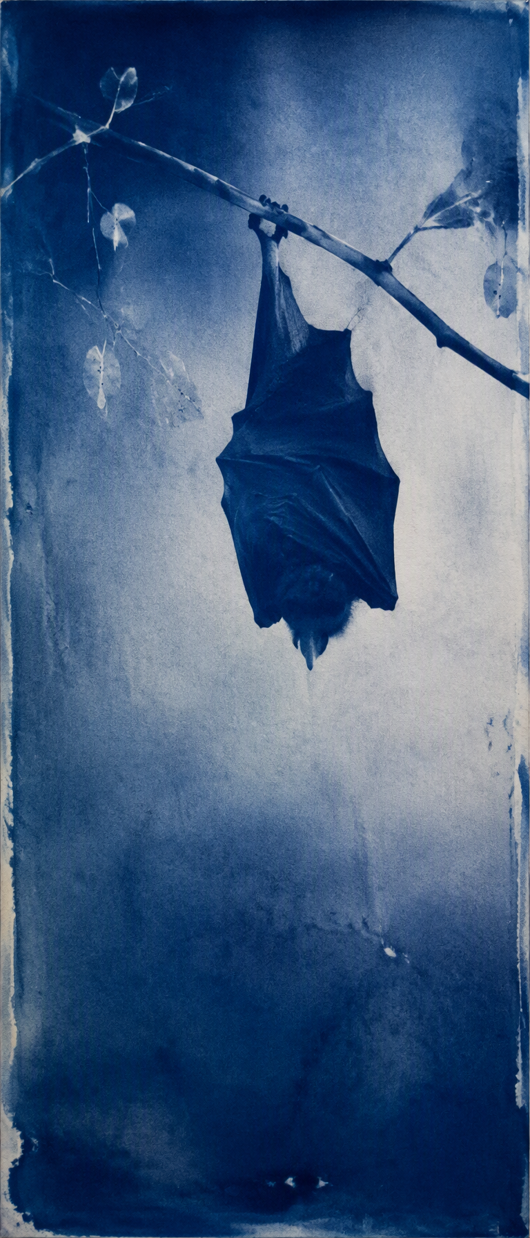 AI generated image by @user_d9b0f74a