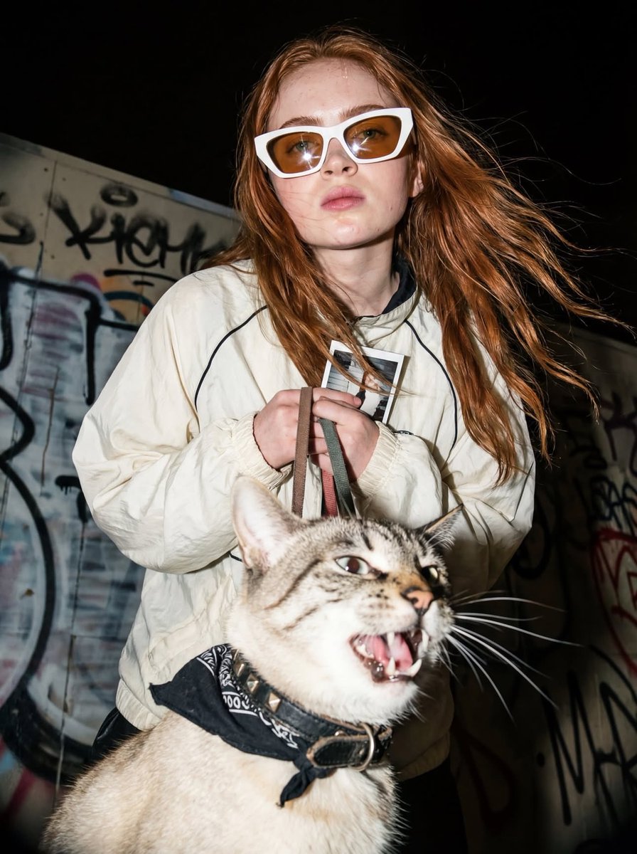 Photography Prompt Template sample 2