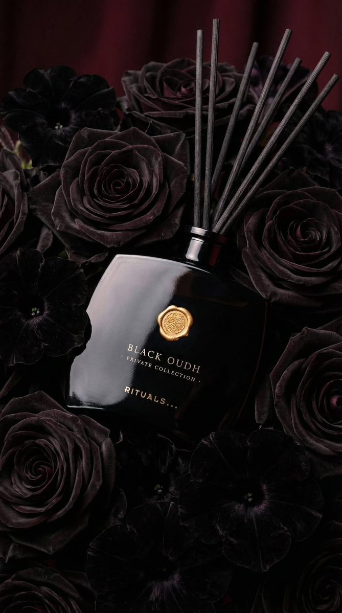 Ultra-realistic Luxury Product Photography OF A Black Glass Reed Diffuser sample 4