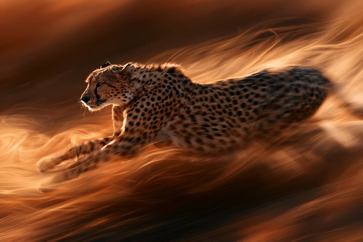 AI generated image by @LudovicCreator