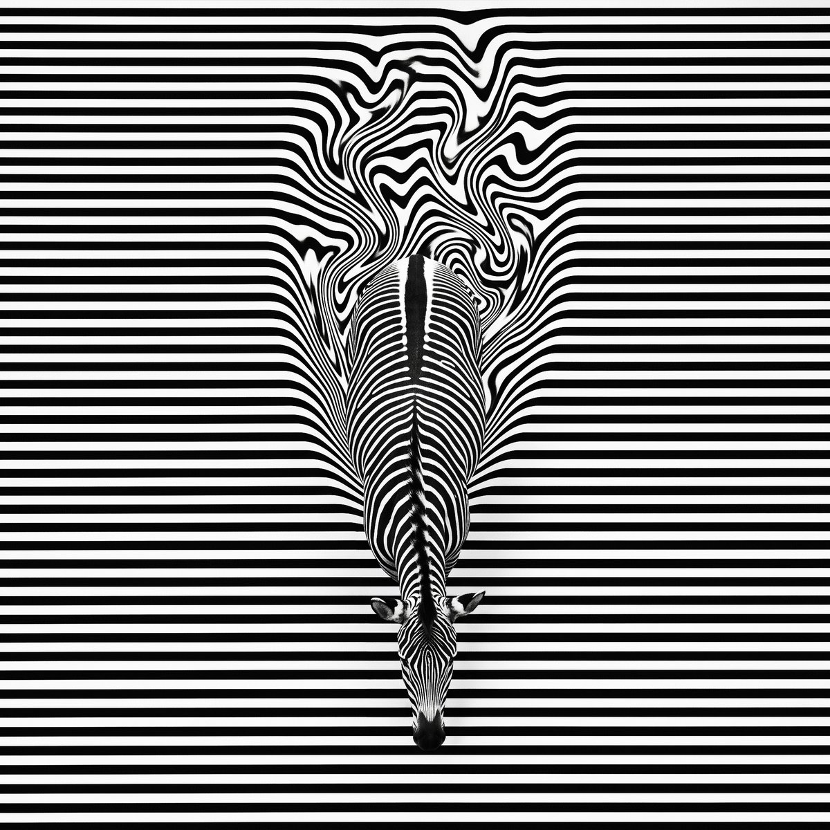 AI generated image by @michaelrabone